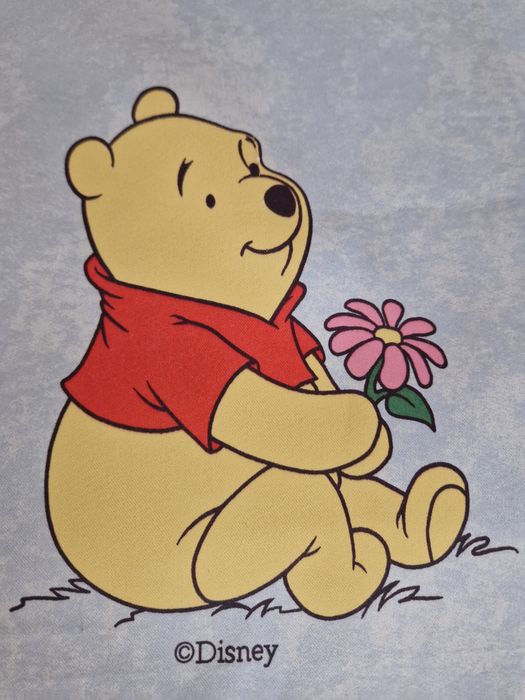 Draperii pentru camera copiilor