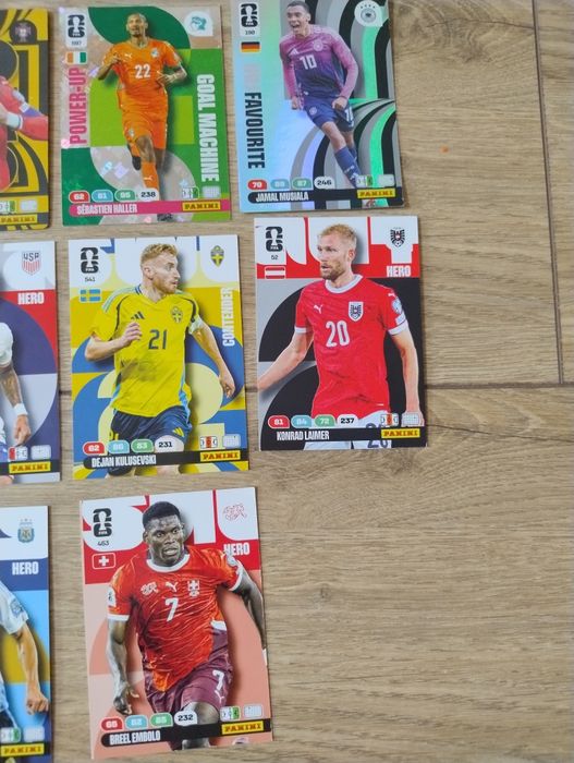 Panini wolrd cup