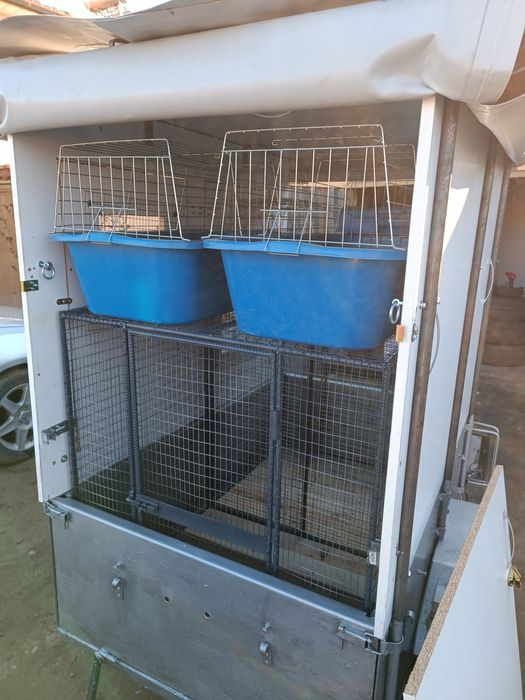 Превоз на домашни любимци в България