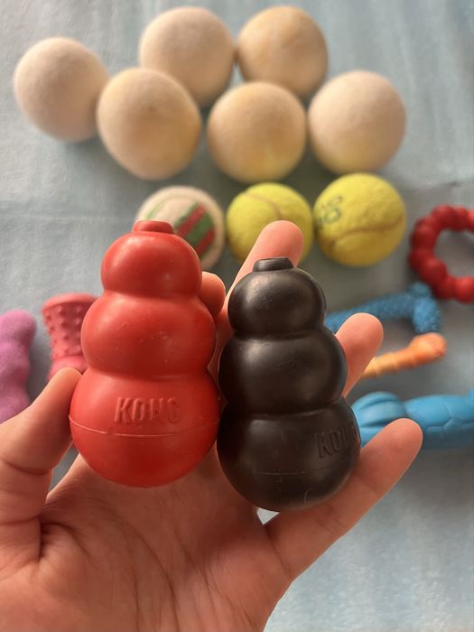 разнообразные игрушки для собак, KONG за все 100.000
