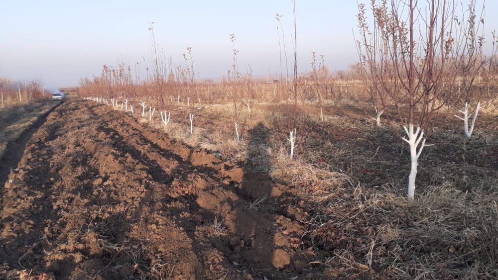 Продам участок поле