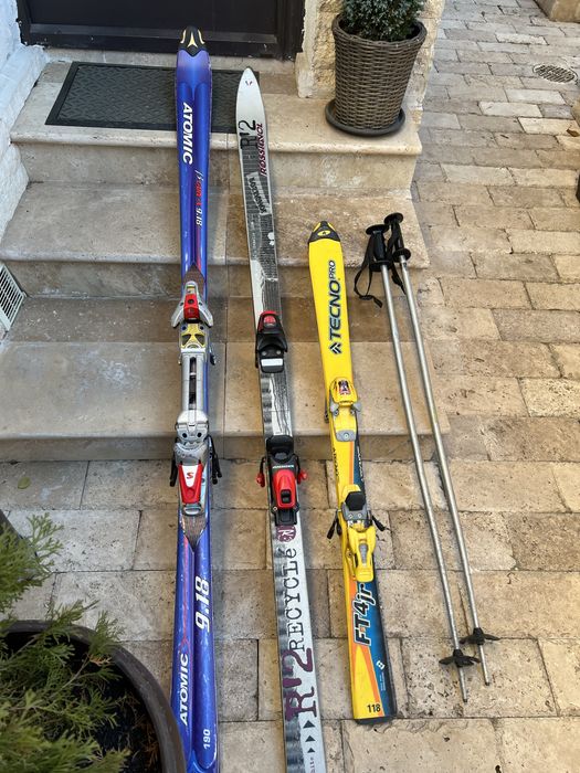 Schiuri adulti si copii