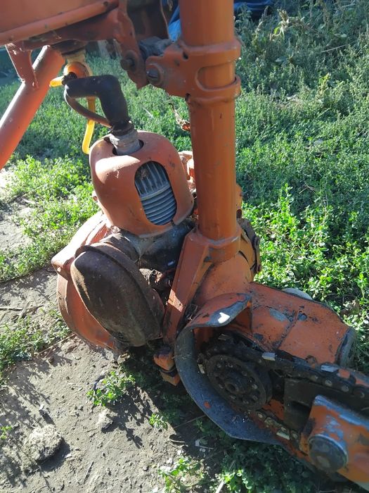 Drujba ruseasca de colecție