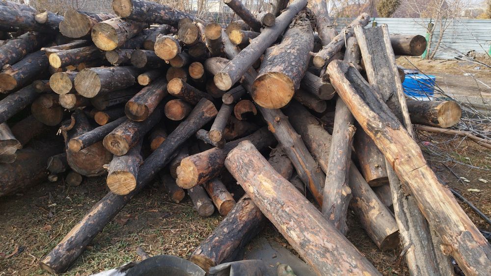 Продам дрова сосна!