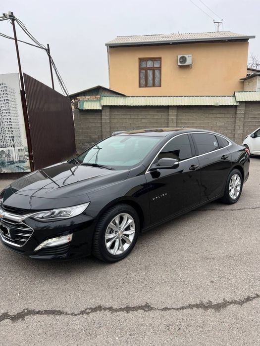 malibu 2 primer 2022 yil