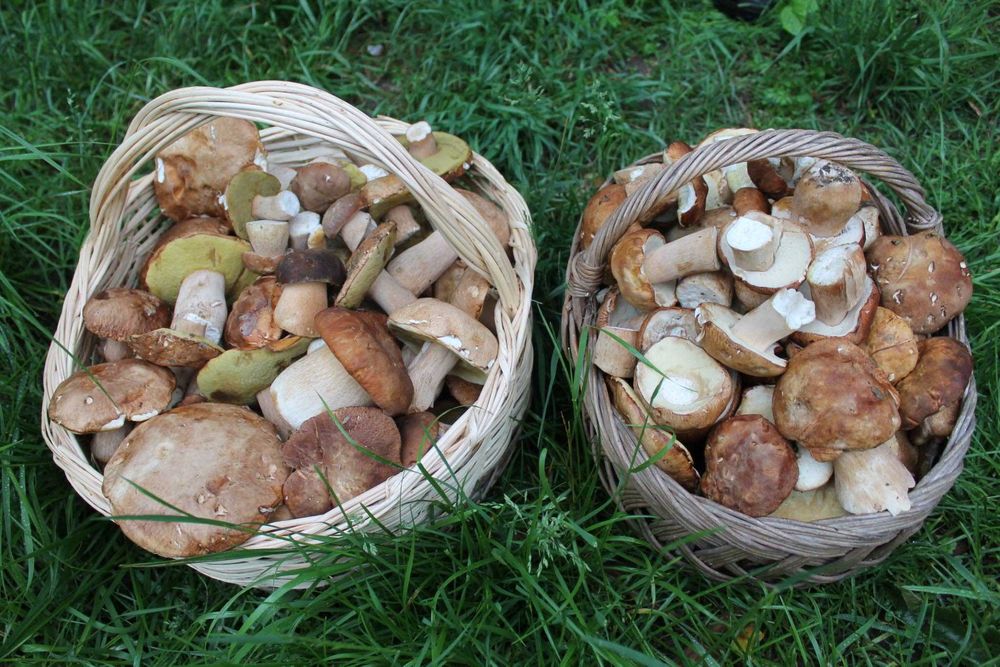 Продава се Къща в София, Фондови жилища - 160 кв.м за 1032 €/кв.м - Снимка #23