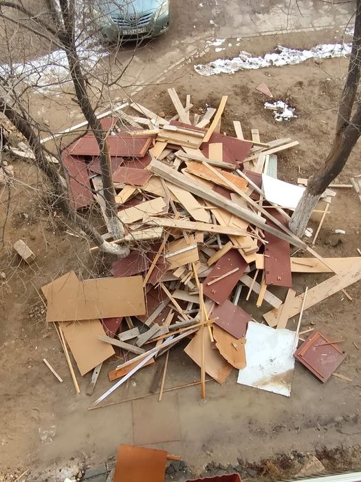 Отынға ағаштар бар