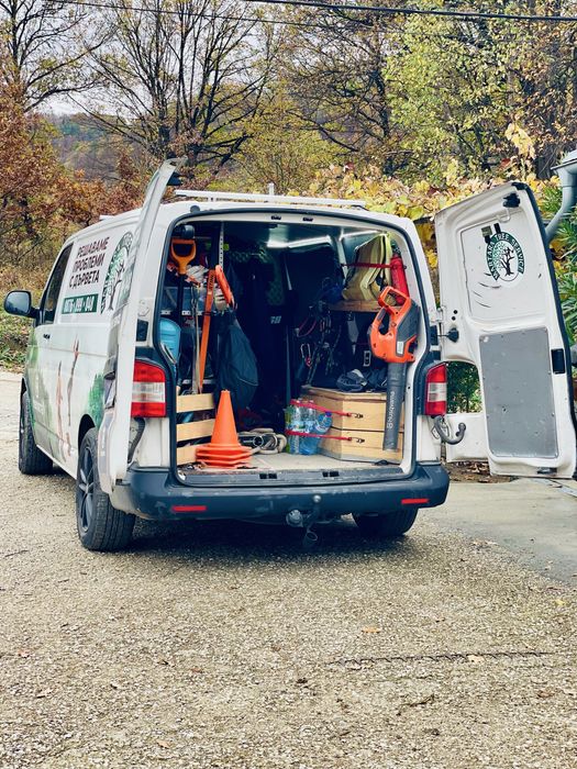 Премахване на опасни дървета, арборист, кастрене, рязане, клони