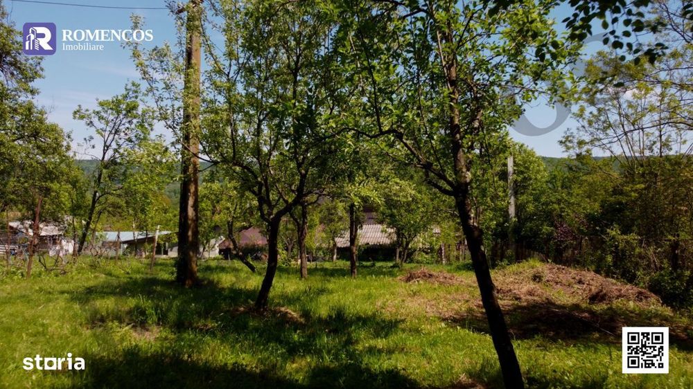 1.000 mp teren in Sat Opresti, Stalpeni, la liziera padurii