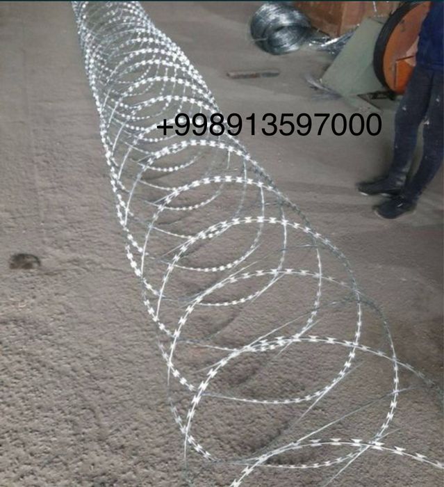 Егоза. Егоза. Egoza.