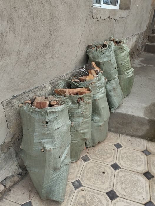 Дайын отын бар агаш