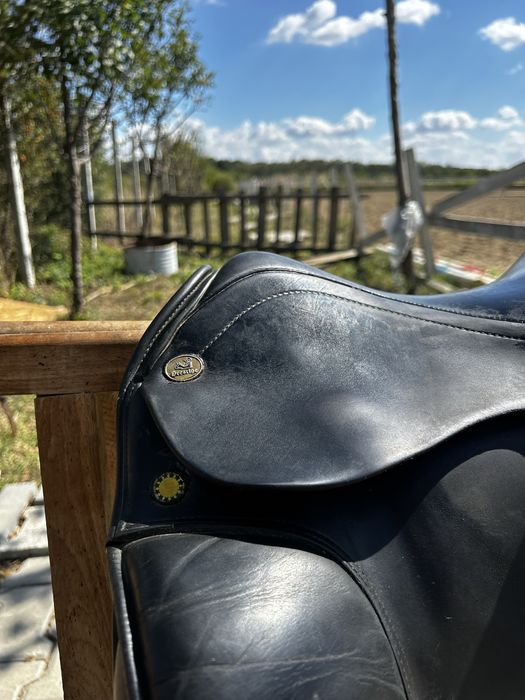 Sa dresaj Prestige Appaloosa