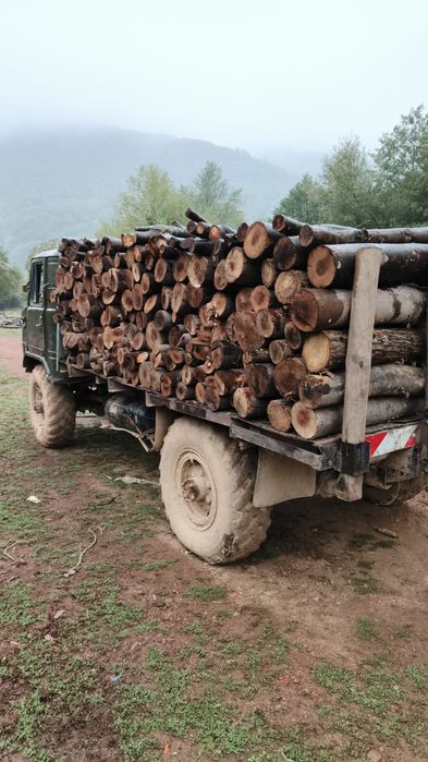 Дърва за Огрев - Нарязани и Нацепени