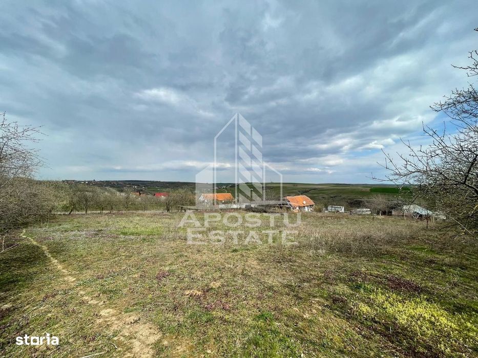 Teren intravilan pentru investitie, 2896 mp, Herneacova Timis