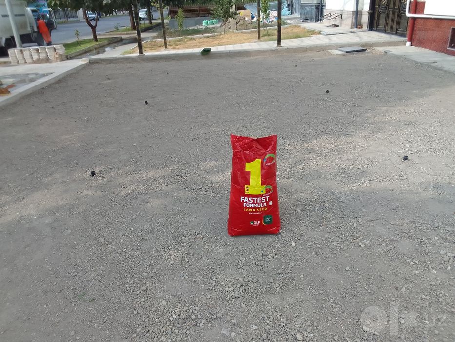 Газон экамиз уругдан