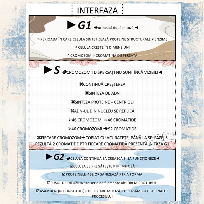 Materiale admitere medicina barron’s