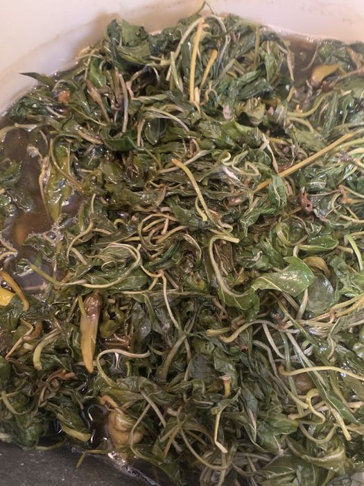 Продукты питания