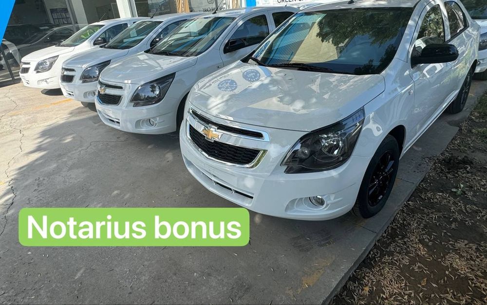 ‼️Midnicht coblt masla