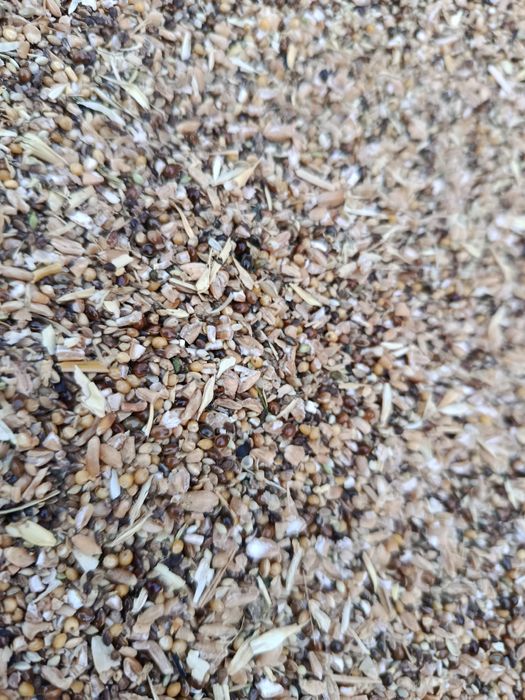 Продам зерно отходы