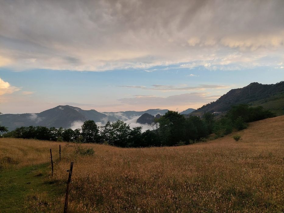 Teren de vânzare