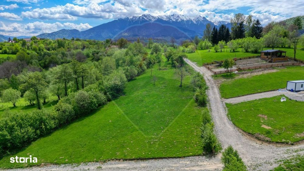 Teren 500mp-1000-2000mp, intravilan, intre Bran si Zarnesti (Tohanita)