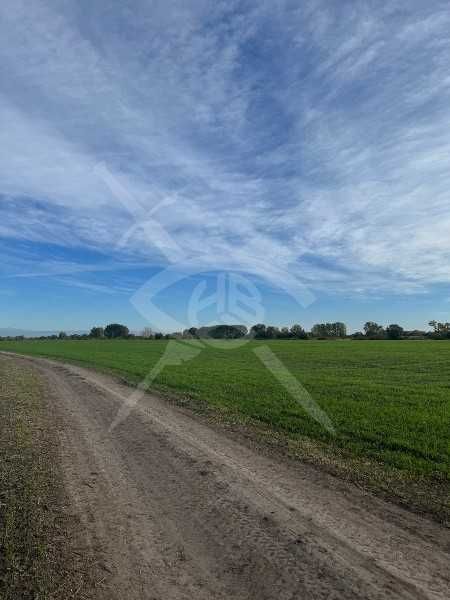 Продава се Парцел в с. Ягодово, Област Пловдив - 4215 кв.м за 11 €/кв.м - Снимка #1