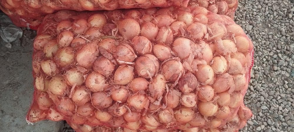 Piyoz oʻrtacha va mayda setkasi 20 ming