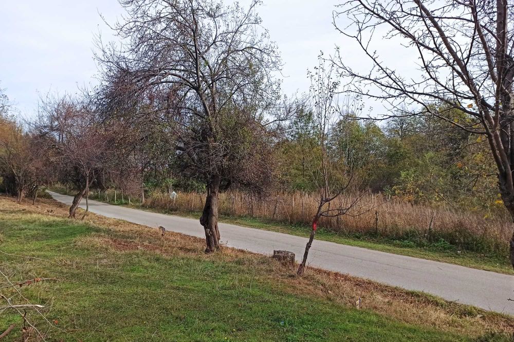 Продава се Парцел в Берковица - 1730 кв.м за 25 €/кв.м - Снимка #6