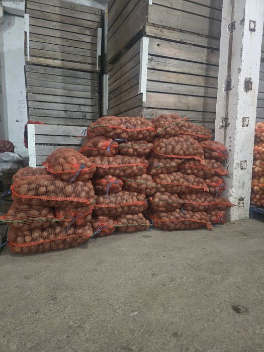 Cartofi consum Jelly și Paradiso.