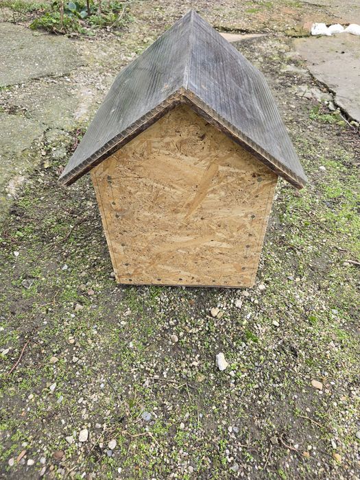 Cusca, casuta, coliba capitonata pentru caini, pisica