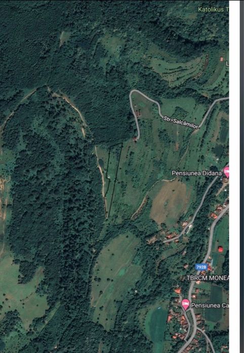 Teren in Statiunea Moneasa 6600 mp