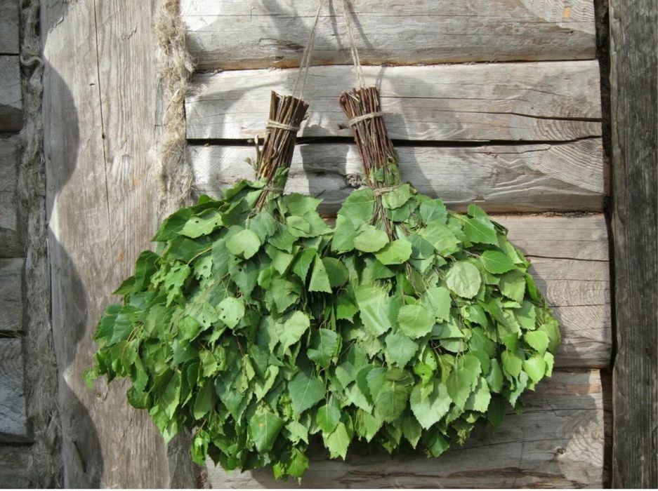 Веники березовые для бани