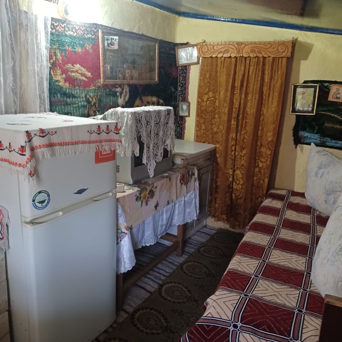CASĂ CU CURTE Danceni Podu Turcului | Apă Gaz Canal | 6600mp + Vie | 40.000€