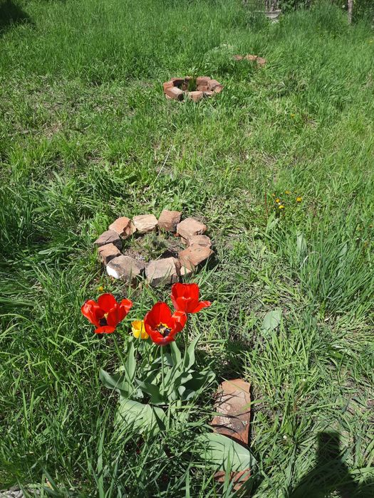 Продам в посёлке Жандосова дачу