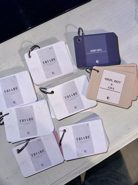 Flashcarduri Smartysh- Set Triade 1, 2, 3A si 3B + CADOU planse Logia