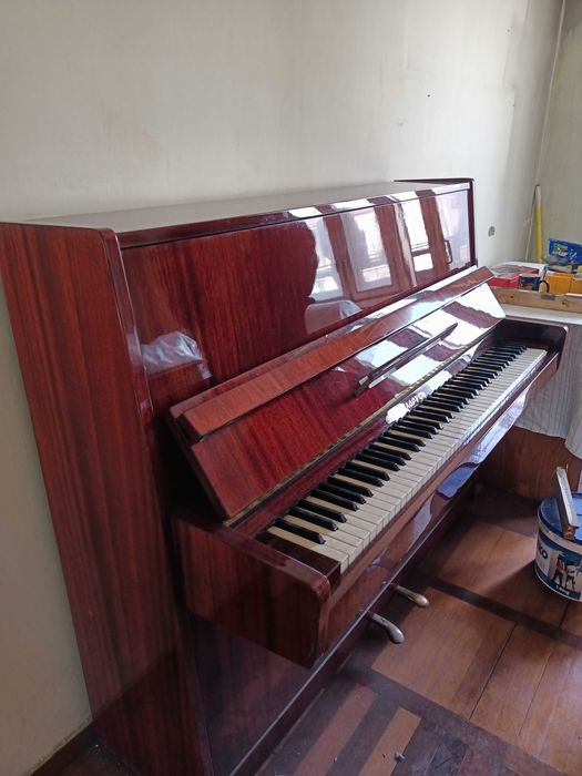 Продам пионинина