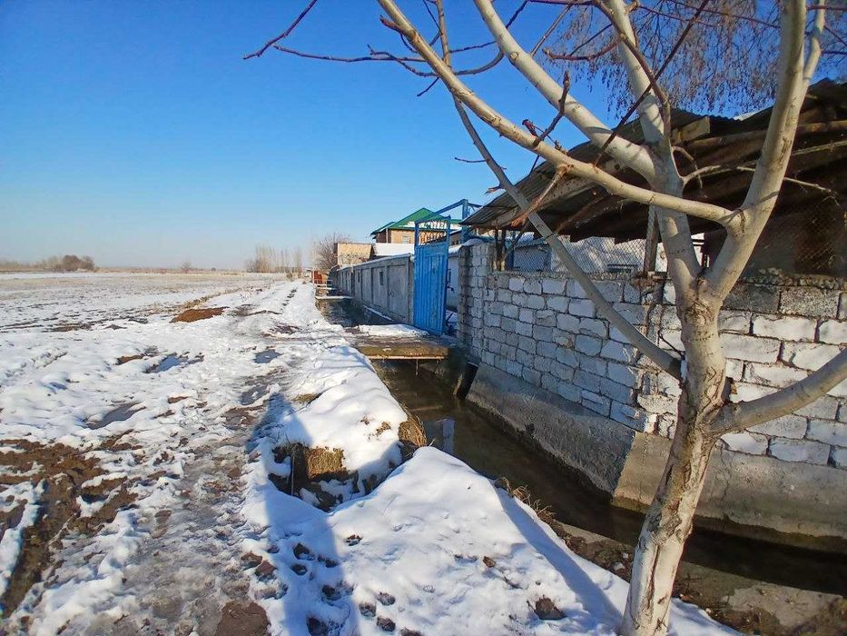 Продажа готовый бизнес 20соток Аргин Кипчок