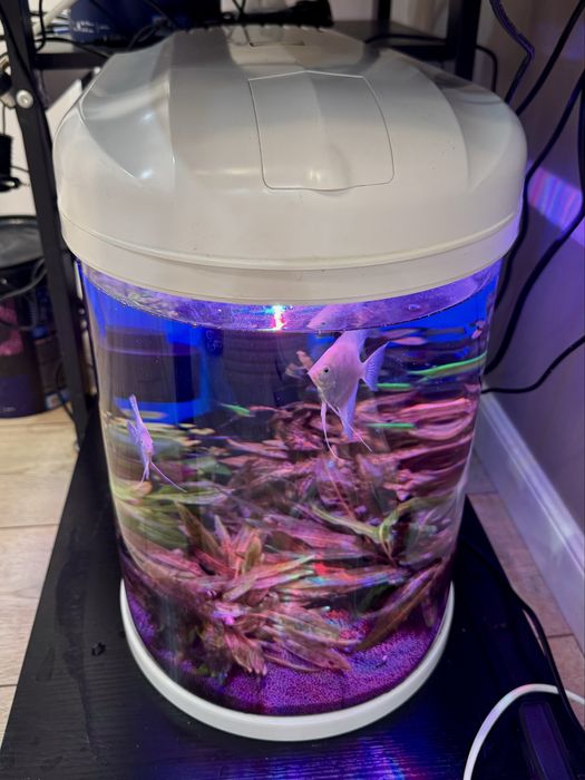 Аквариум комплект