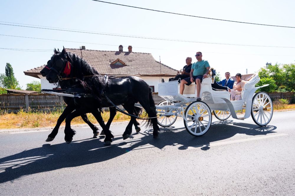 Inchiriez trasura pentru evenimente