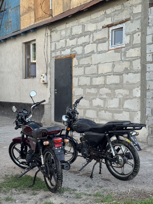 Alpha racer и almotor