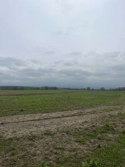 Продается Фазенда | Кашар сатылады