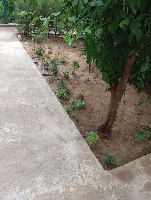 Своя в Юнусабаде 14 кв 1 этаж огород+ подвал