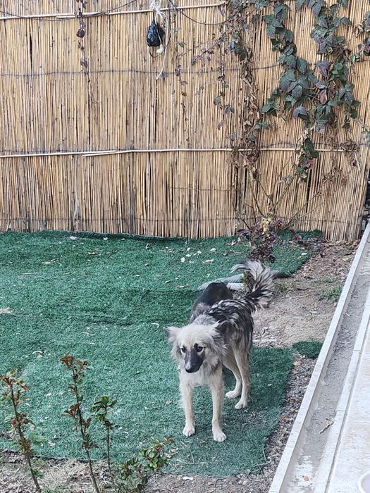 Две девочки ищут своего человека!