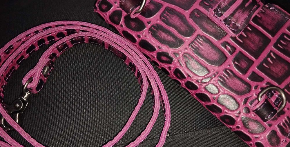 Футляр для очков Kanishka