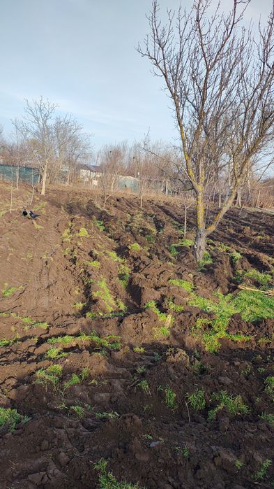 Casa de vânzare cu teren