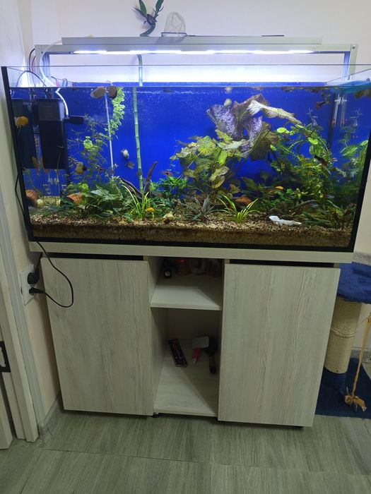 Продам аквариум 250 литров