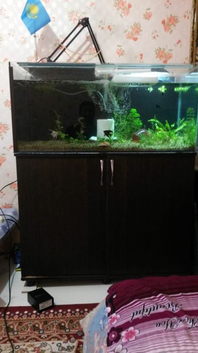 Большой аквариум