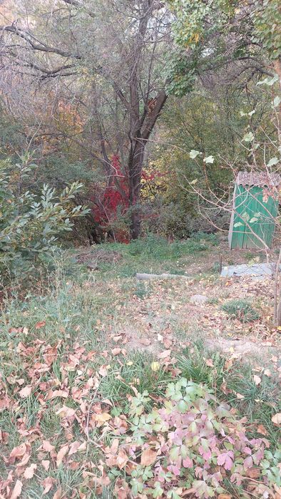 продам дачу каскелен