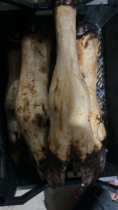 Бычьи ножки чистый