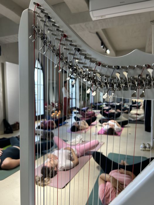 Cursuri yoga (clase de grup / private)